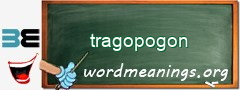 WordMeaning blackboard for tragopogon